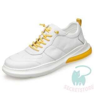 StV[Y Y y ₷ Stp Xj[J[ JWA jOV[Y EH[LOV[Y 傫TCY h ^C