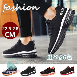 Xj[J[ Y fB[X Xj[J[ GA[ jOV[Y ^C@X|[cV[Y JWA NbV EH[LO V[Y ʋC