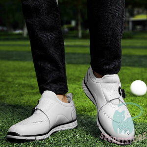 StV[Y Y y fB[X  ₷ Stp Xj[J[ JWA jOV[Y EH[LOV[Y 傫TCY