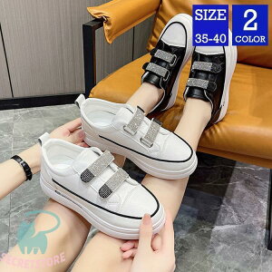 fB[X Xj[J[ C V[Y JWA 킢 ₷  LL