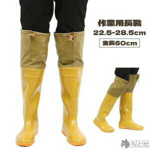 C cAp _ 60cm EF[_[ h cA ~ Cu[c O Y fB[X Vv TCYLx _ j 