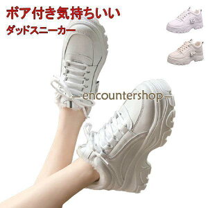 Xj[J[ _bhXj[J[ fB[XV[Y EH[LOV[Y  킢 C  Xj[J[ r gAbv  J[t