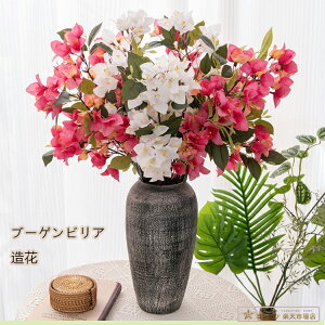 y75cmz CeA u[QrA fCW[  t[ ԏ u[P RT[W rO K[fjO A[gt[ Q    1 1{  ͂Ȃ A