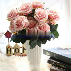  CeA [Yo`  G i` @@ԑ u[P tFCNO[@v[g Mtg