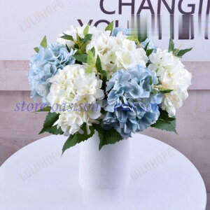  CeA AWTC  G i`   ԑ u[P tFCNO[ v[g Mtg