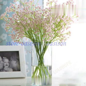 8{  CeA  G i`   ԑ u[P tFCNO[ v[g Mtg