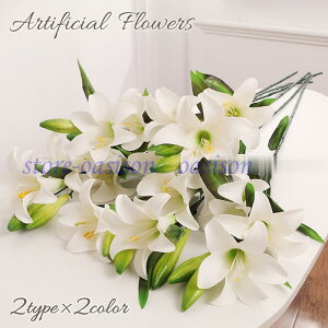  tFCNt[ ꑩ ԑ  S Q CeAG lH ͂Ȃ t[AWg   p[eB[  d @