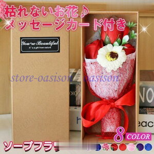 \[vt[ ԑ Mtg u[P ԑ   {bNX o Cxg ̓ v[g J[l[V [Y