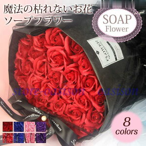 \[vt[ ԑ Mtg u[P {bNXt[ v[g  u[P 33 [Y t[ TvCY Ό