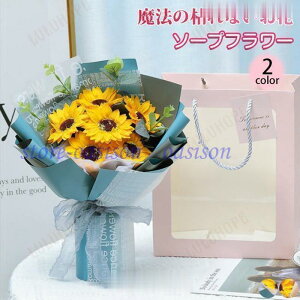 o^C ̓ \[vt[ ԑ Mtg u[P {bNXt[  V t[ TvCY Ό ͂Ȃ