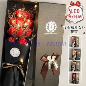 hV̓ hV̓Mtg v[g \[vt[  ԑ t[ J[l[V t[\[v a oYj ސEj 