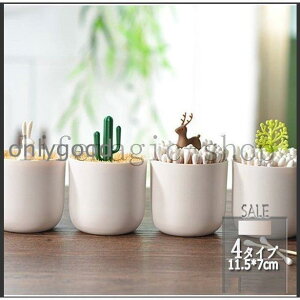 Vܗk}ꂨ܂悤ꕔpܗk}P[X[Wt