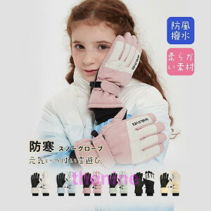 XL[O[u LbY WjA  q j̎q ̎q X}zΉ h Xm[O[u 5{w  V h oCNO[u AEghA