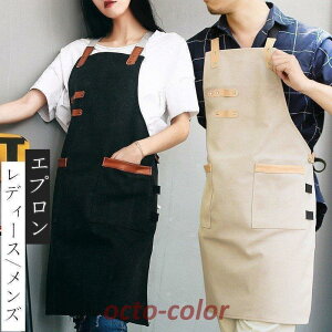 Gv fB[X Y B Ɨp V[g fj 񂩂 |Pbgt Vv Ǝ O| jp  JtF jtH[ ԉ