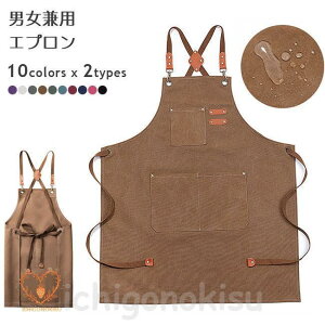 Gv LoX jp  K[fGv  JtF }H K[fjO hGv tg|Pbg z Ђɂ g