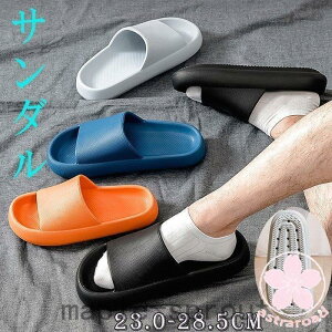 V[T_ Y C  r[` V[Y AEghAT_ ubN y C t   T{T_ ̓