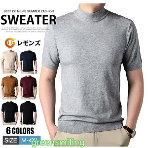 【】ニットTシャツ メンズ ゴルフウェア ハイネック 半袖Tシャツ ハイネックtシャツ サマーニット サマーセーター 無地 サマーセーター カットソー カジ