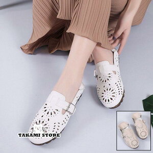 fB[X T_@ā@T}[T_@@C  r[T T{T_ ₷@JWA  ɂȂ r