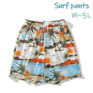 T[tpc Y  Cp nCA An IW EGXgR  V[gpc p