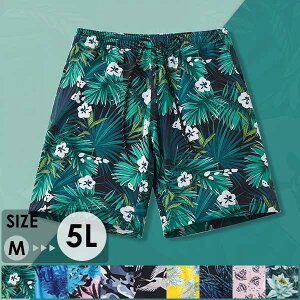 T[tpc Y  O Ci[t bVK[h Cp T[tpc CpcGEGXgS{[hV[c傫TCY