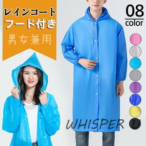 CR[g fB[X Y  O t[ht jp ʋ C|` Vv J gт₷ nCLO U