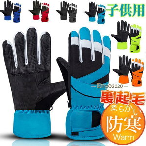  LbY Xm[O[u h N q ̎q j̎q  V XL[ ~ g h  ۉ w ] ʊw 