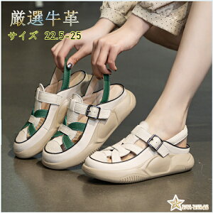 vT_ T}[u[c  fB[X u[cT_ 傫TCY nCq[ pvX C [X q[ u[eB bV