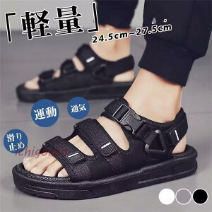 V[Y T_ Y r[`T_ X|[cT_ ʋC y ~  amp ^ j C C  ނ EH[^[V[Y