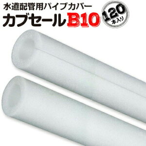 JuZ[B10a10mm×Oa24mm×7mm 2m120{X|W pCvJo[ K[h z fM zǗp  h~ Ǒ΍