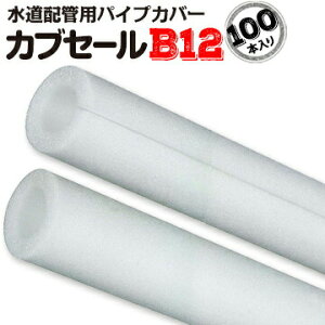 JuZ[B12a12mm×Oa26mm×7mm 2m100{X|W pCvJo[ K[h z fM zǗp  h~ Ǒ΍