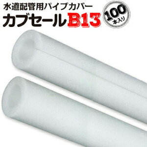 JuZ[B13a13mm×Oa33mm×10mm 2m100{X|W pCvJo[ K[h z fM zǗp  h~ Ǒ΍