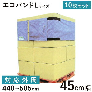 �G�R�o���hL45 �����O�^�C�v 10�� �{�� ���z �����z���p�i ���� �ی�� �p���b�g�ς� �ו���h�~ �ו��Œ�