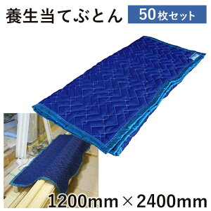 ĂԂƂ1200mm×2400mm50z{ { ĂԂƂ z Ƌ ѕz ӂƂ zc ^Ƌ^ t[O h~