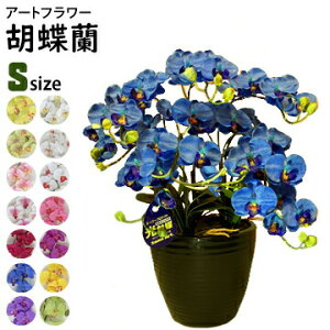 A[gt[ Ӓ STCY300×300×590mmd2.2kga20cmi7j5{ LތG}ƃA~m_ŃzAfqhȂǂ𕪉