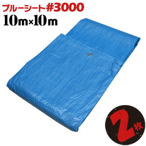 ブルーシート #3000 厚手10×10m2枚輸入品雨除け 野積カバー 屋根補修 運動会 文化祭 レジャー天井面 壁面 養生 工事現場 建築現場