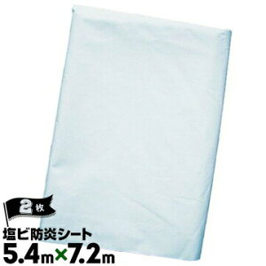 H HAGIHARA zCghV[g Aipڂyǖʗ{siz5.4m×7.2mngsb`452 z H pi  { ی h