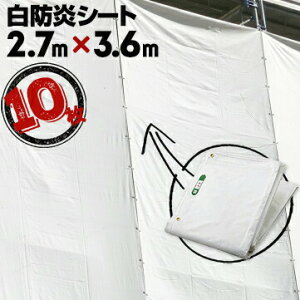 AhV[g 450P 10 0.28mm2.7m×3.6mzCg h Ai H z