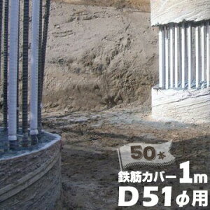 �G���G�t MF �S�؃J�o�[D51�ӗp / ����1m / 10mm��50�{�n�c����� ���؂� �S�� �Y �R���N���[�g �Y��