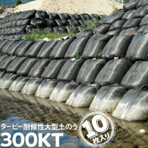 ό ^ŷ300KTΉ^ 3NBLACK10H HAGIHARA yX gobO@hЃObY@Q