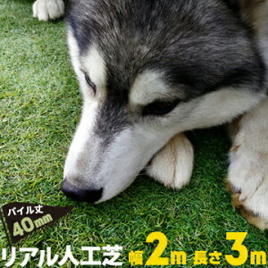 AlH yŏ40mmzy2mzy3mzVRł̂悤  K[f  l ͂ lHŃ}bgeX x_