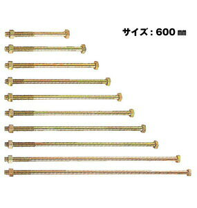 Z [bg ZZp{g M12 M12×600mm 50{ 417-2600 b  \ y