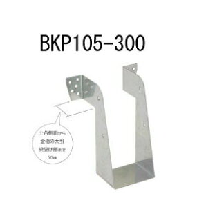 JiC rX~ߑ󂯋 BKP105-300 10 442-2430 b  \ y