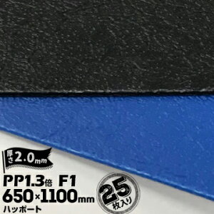 O䉻wZ nb|[g PP1.3{AV[g F1 i yRiȂz2mm650mm×1100mmAI/N 25xj xj