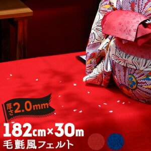 џtFg 2mm182cm×30mtFg т̑  