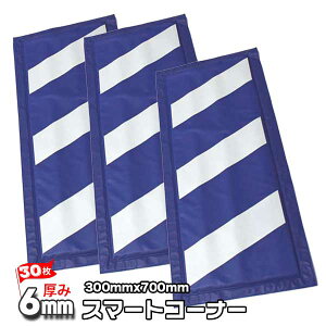 ӊN X}[gR[i[ 3i 10Zbgj/ 6mm×300×700