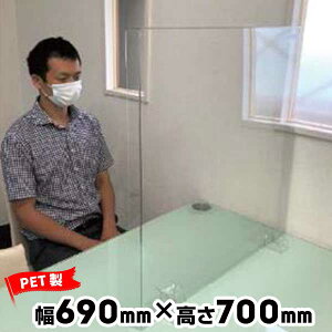 { hDEEH[ fXNEH[DWT4-0770S uEp^CvPET690mmx700mm10Ri ItBX  fXN d؂p[e[V ՗