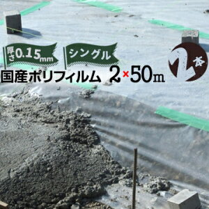 ykCzsz|tB Y VO0.15mm2000mm×50m2{|V[g yԃV[g zR悯 h ލ@#150