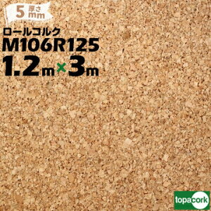 RN topacork fp [RN JbgiM106R125 y 1200mmzy 5mmzy 3mzRNV[g hiRN{[h f{[h Ǎ n f VRRN