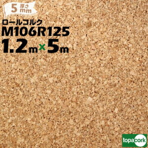 RN topacork fp [RN JbgiM106R125 y 1200mmzy 5mmzy 5mzRNV[g hiRN{[h f{[h Ǎ n f VRRN