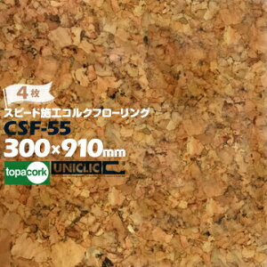 RN Xs[h{HRNt[OCSF-55 i`4RN  ̂sv sv {HȒP